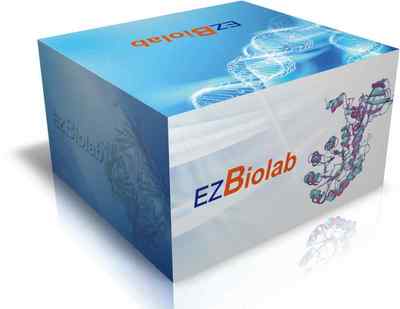 上海生孚生物技術(shù)展臺(tái) 信息技術(shù)賦能生物耗材產(chǎn)品展示