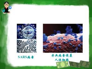 信息技術(shù)驅(qū)動(dòng)下的生物技術(shù)藥物與疫苗研發(fā)新紀(jì)元